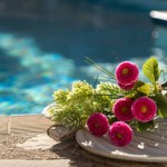 pearls of crete